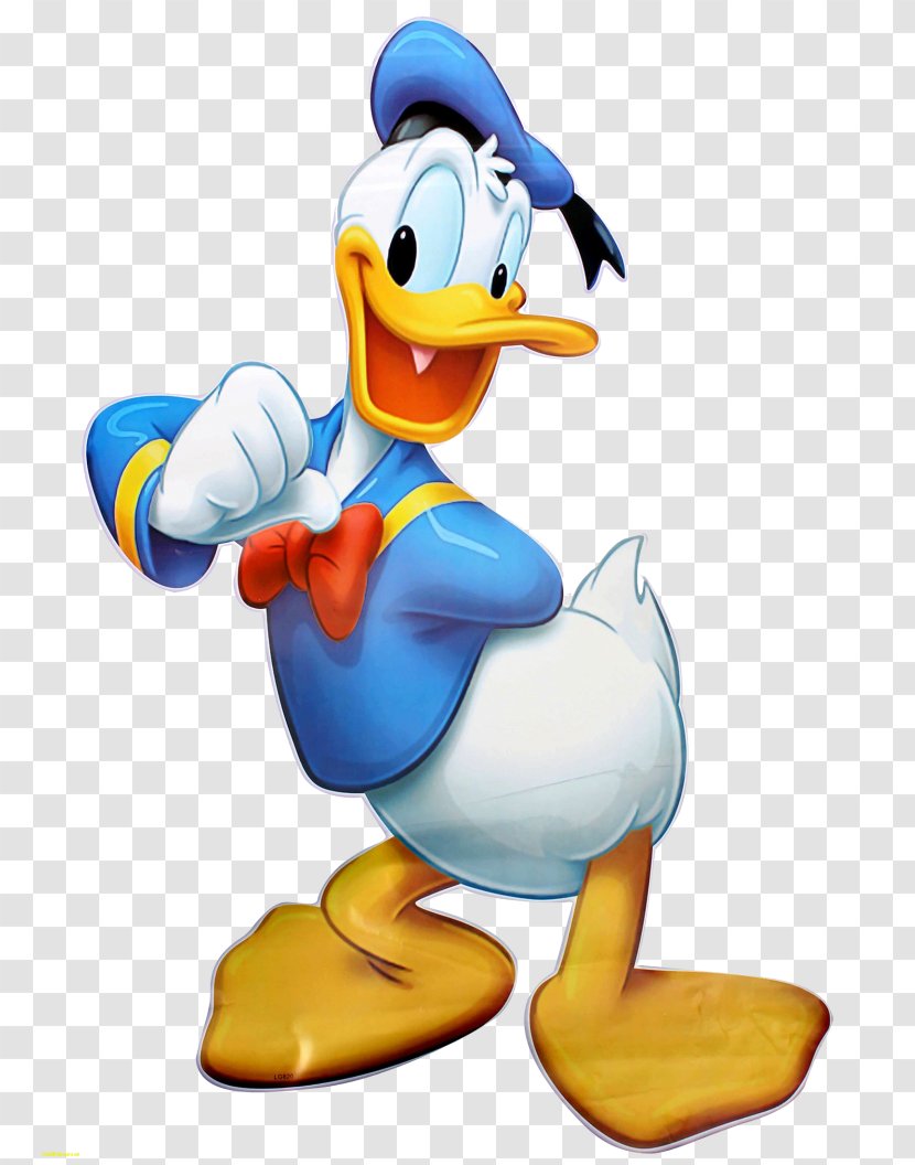 Donald Duck Daisy Minnie Mouse Clip Art - Animation - Duckling Transparent PNG