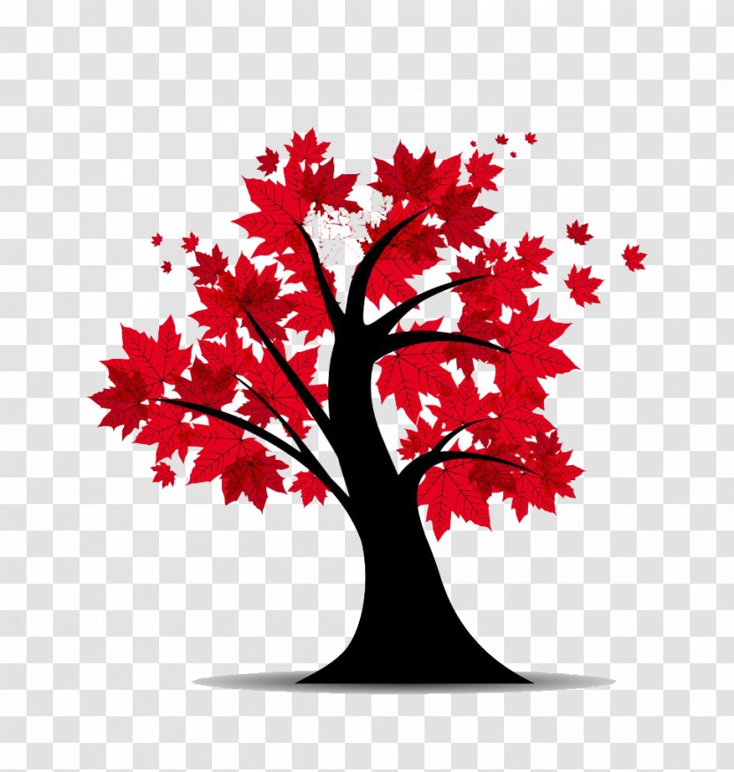 Red Maple Tree Euclidean Vector Illustration - Plant - Autumn Cartoon HD Free Buckle Material Transparent PNG