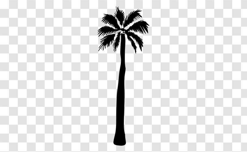 Asian Palmyra Palm Silhouette Arecaceae - Woody Plant Transparent PNG