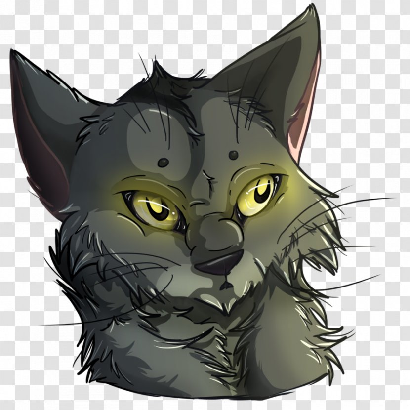 Domestic Short-haired Cat Tabby Graystripe Warriors - Like Mammal Transparent PNG