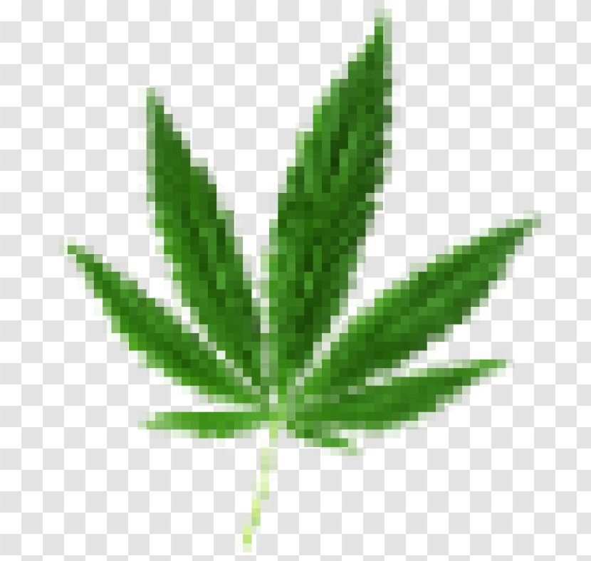 Medical Cannabis Dispensary Shop Smoking - Tetrahydrocannabinol Transparent PNG