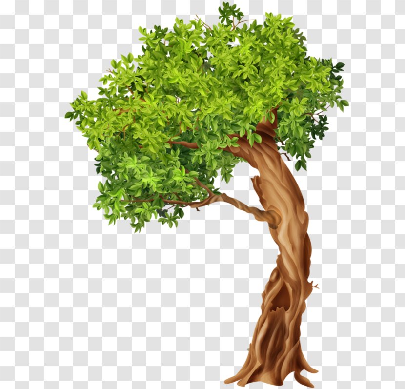 Tree Stone Pine Blog Clip Art - Branch Transparent PNG