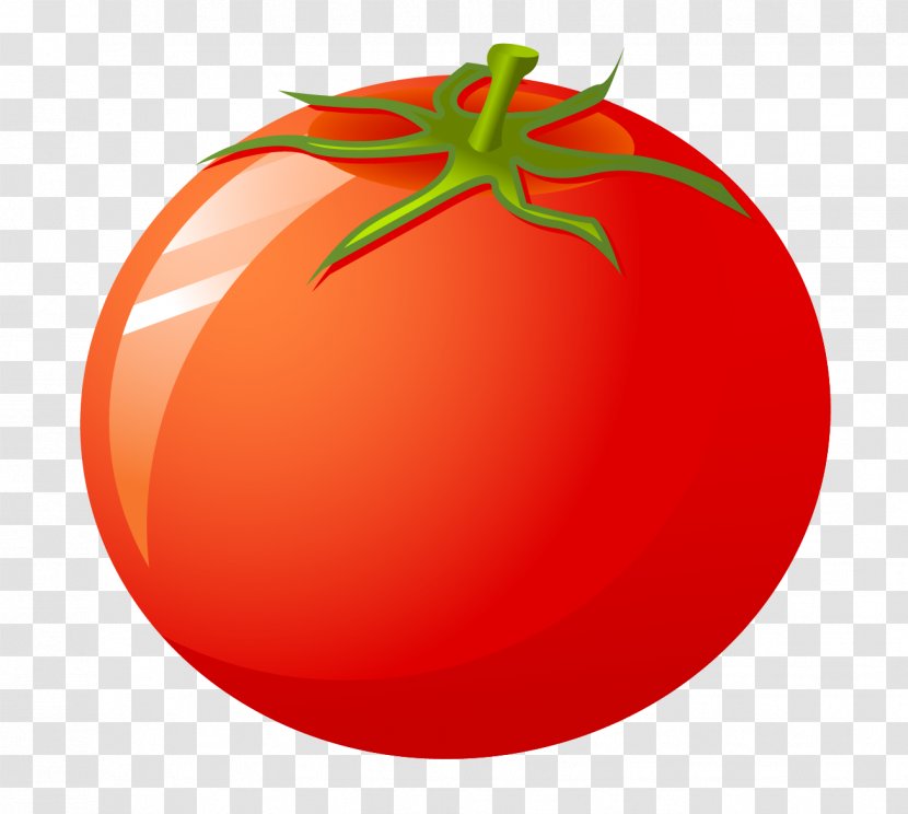Cherry Tomato Bush Food Transparent PNG