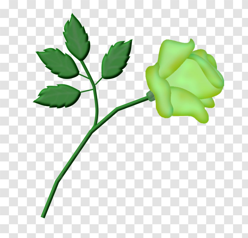 Garden Roses Clip Art Cut Flowers Bud - Plant - Rose Transparent PNG