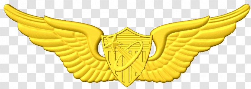 Clip Art Aviator Badge Aircraft Pilot United States Astronaut - Freefall Transparent PNG