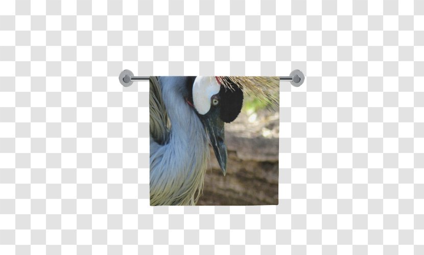 Fauna Beak Feather - Crane Transparent PNG