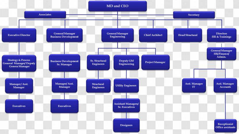 Organizational Chart Business Development Structure - Rectangle - Organization Transparent PNG