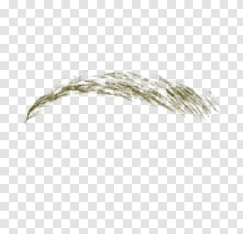 PhotoScape Eyebrow Food Brush - Honey - Antimatter Transparent PNG