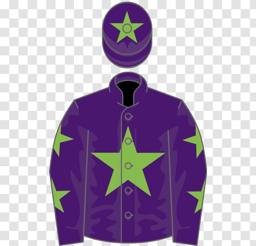 2016 Grand National Novice Cheltenham Gold Cup Cesarewitch Handicap Horse Racing - Outerwear - Heavy Penalties For Doping Transparent PNG