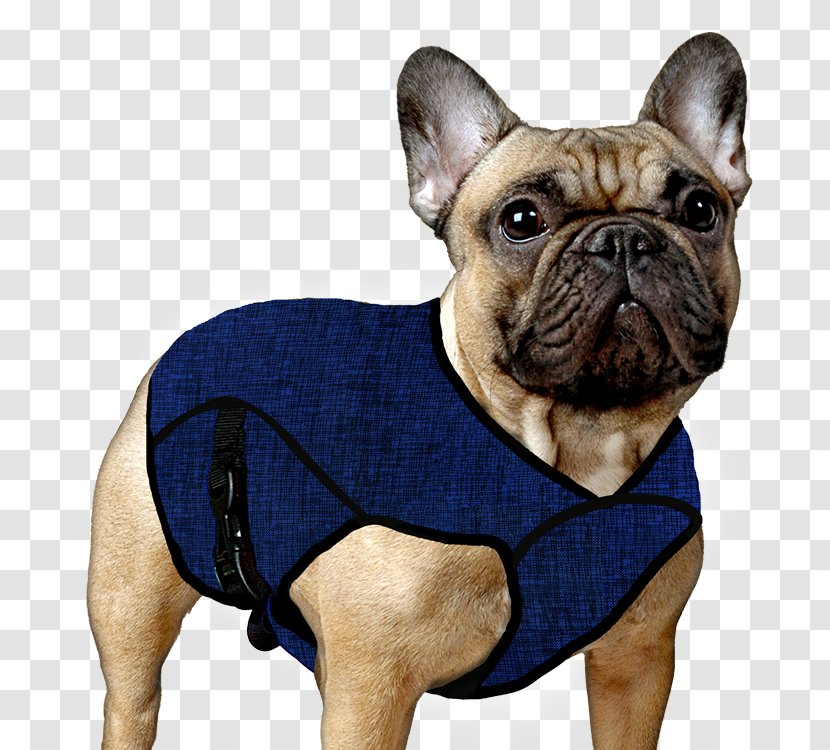 Jacket Dog Clothing Accessories Pet Refrigerant Transparent PNG
