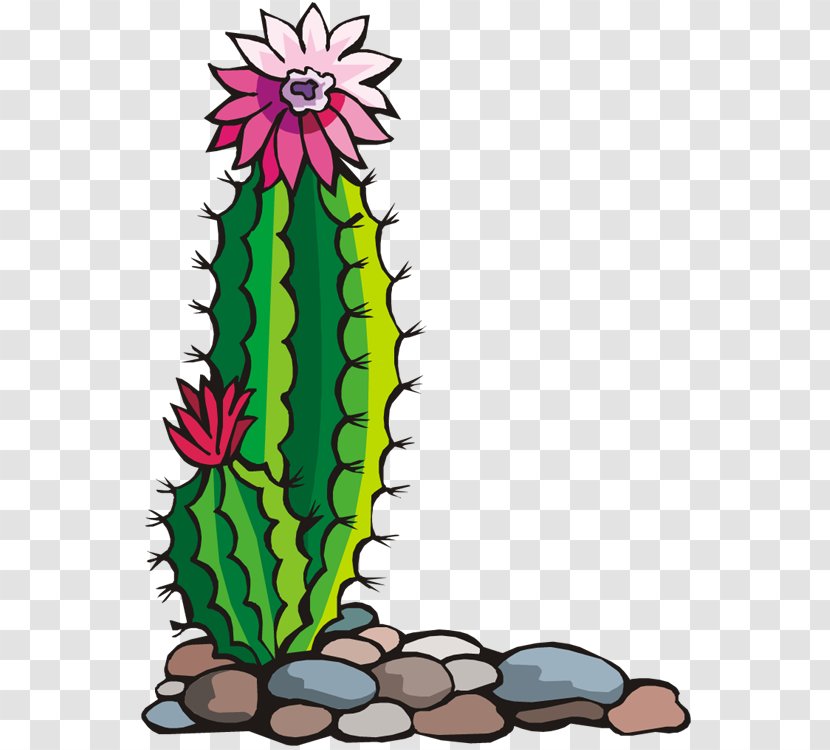 Southwestern United States Free Content Clip Art - Website - Blooming Cactus On Green Stones Transparent PNG