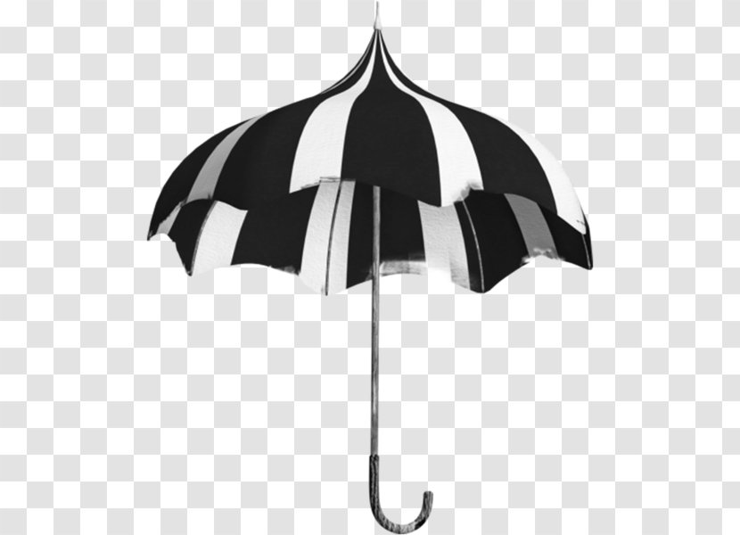 Umbrella Egypt Black Arabs Transparent PNG
