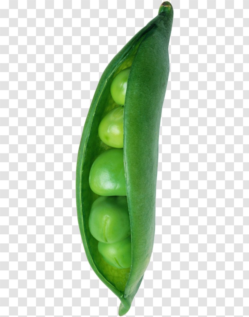 Snow Pea Green Broad Bean - Peas Transparent PNG