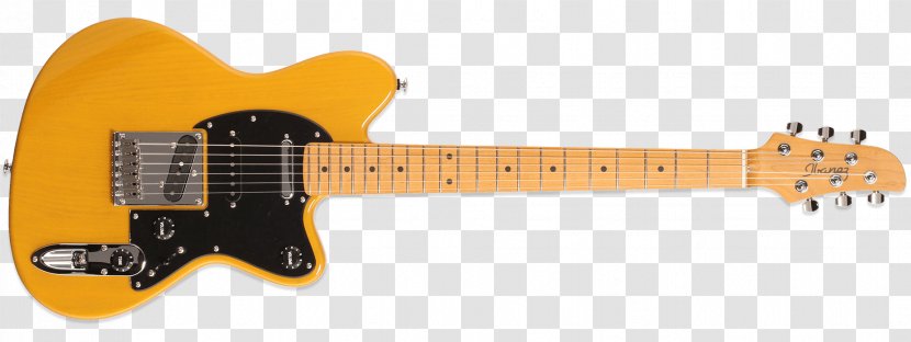Fender Telecaster Squier Deluxe Hot Rails Stratocaster Jim Root - Watercolor - 90's Transparent PNG