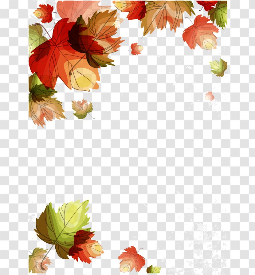 Vector Autumn Maple Leaf - Floral Design - Pattern Transparent PNG