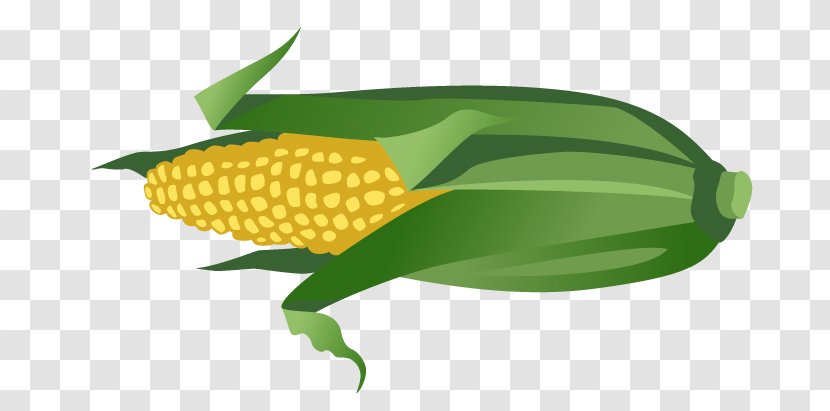 Maize - Organism - Hand-painted Cartoon Corn Transparent PNG