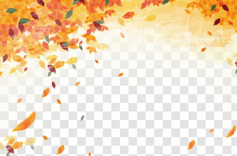 Autumn Leaf Color - Leaves Material Transparent PNG