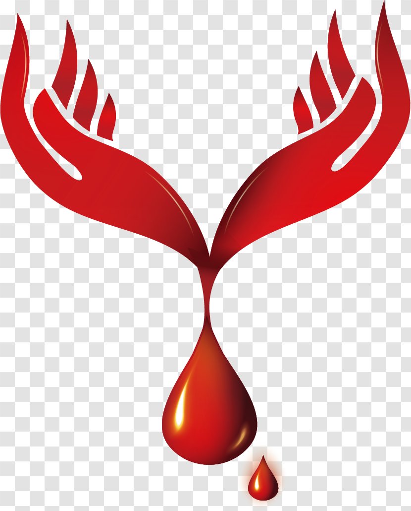 Blood Donation World Donor Day Clip Art - Physical Examination - Logo Transparent PNG