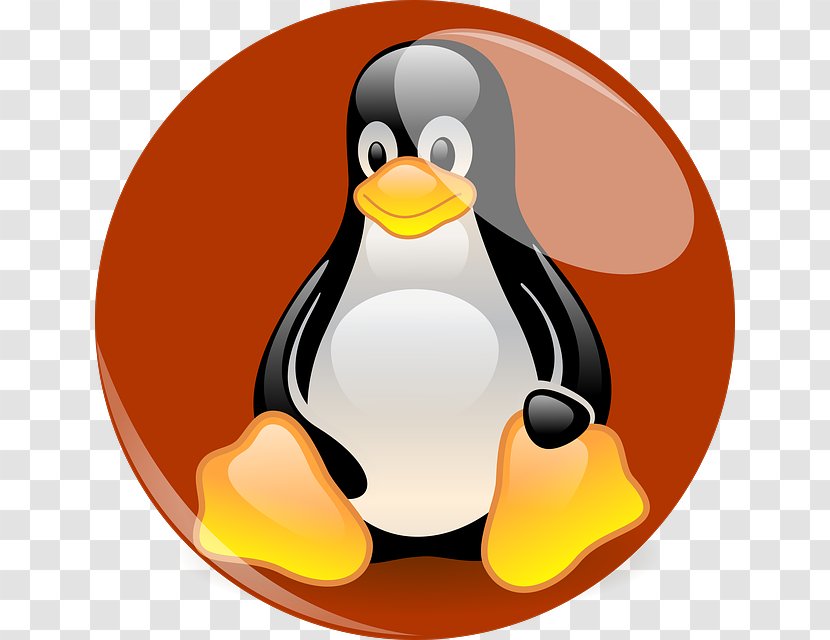 Linux Distribution Penguin Computer Software Tux - Green Fire Transparent PNG