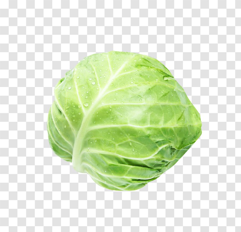 Savoy Cabbage Romaine Lettuce Red Spring Greens - Water Spinach - A Transparent PNG
