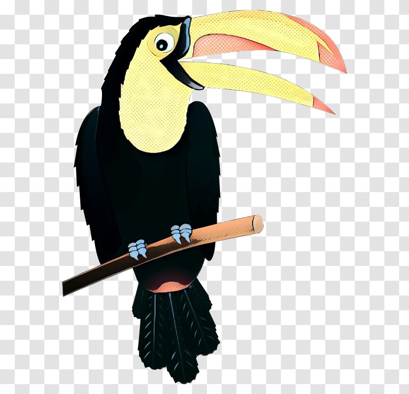 Toucan Bird Image Beetle - Drawing - Beak Transparent PNG