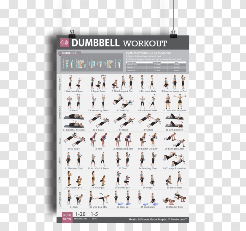 Dumbbell Exercise Strength Training Weight Physical Fitness - Brand - Male Lifting Dumbbells Transparent PNG