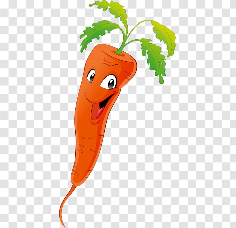 Vegetarian Cuisine Vegetable Zucchini Cartoon - Stock Photography - Carrot Transparent PNG