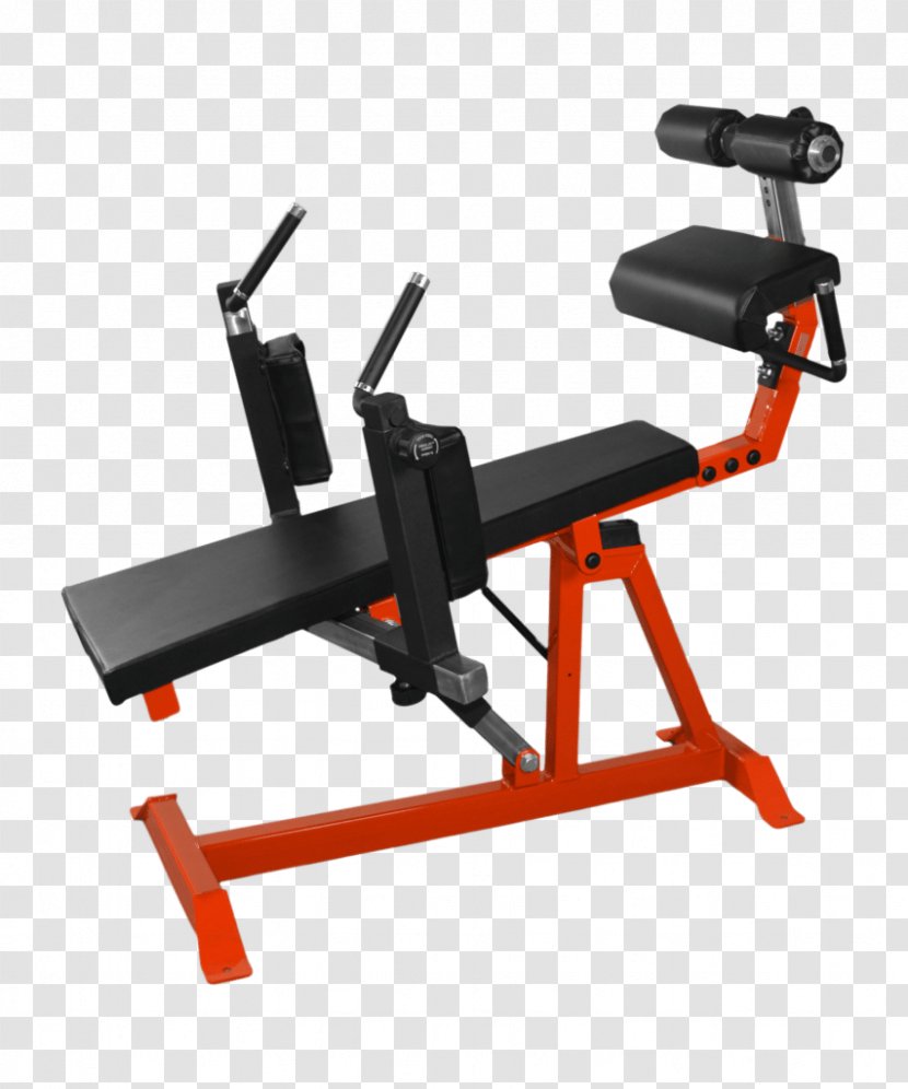 Bench Crunch Exercise Equipment Machine Abdominal - Tool Transparent PNG