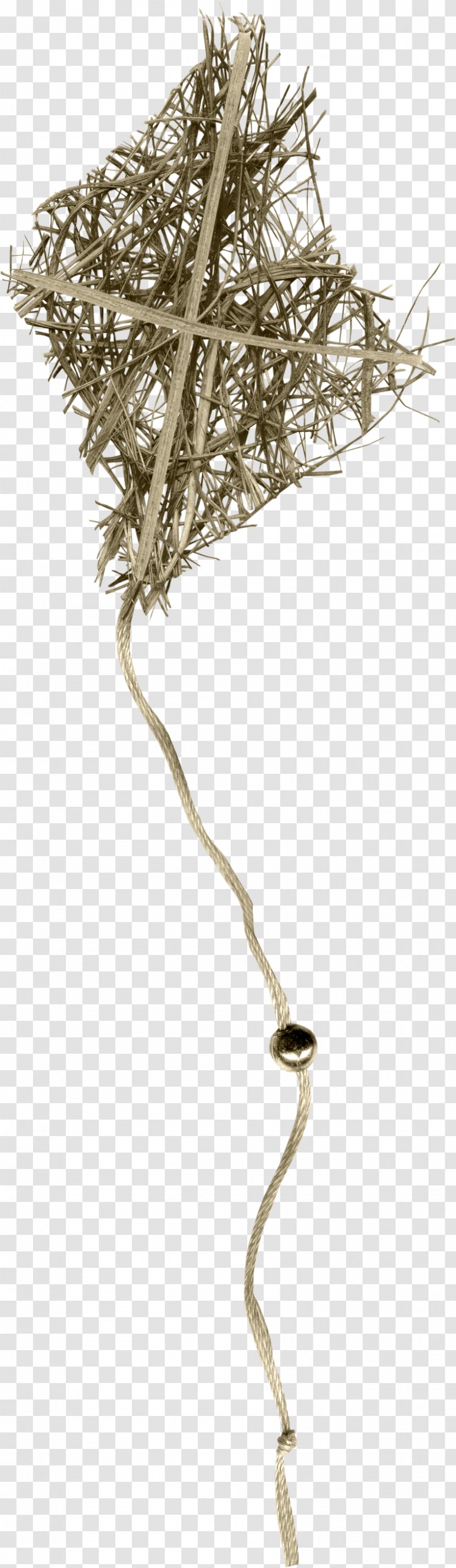 Tree Twig Plant Stem Branching - Branch - Foliage Transparent PNG