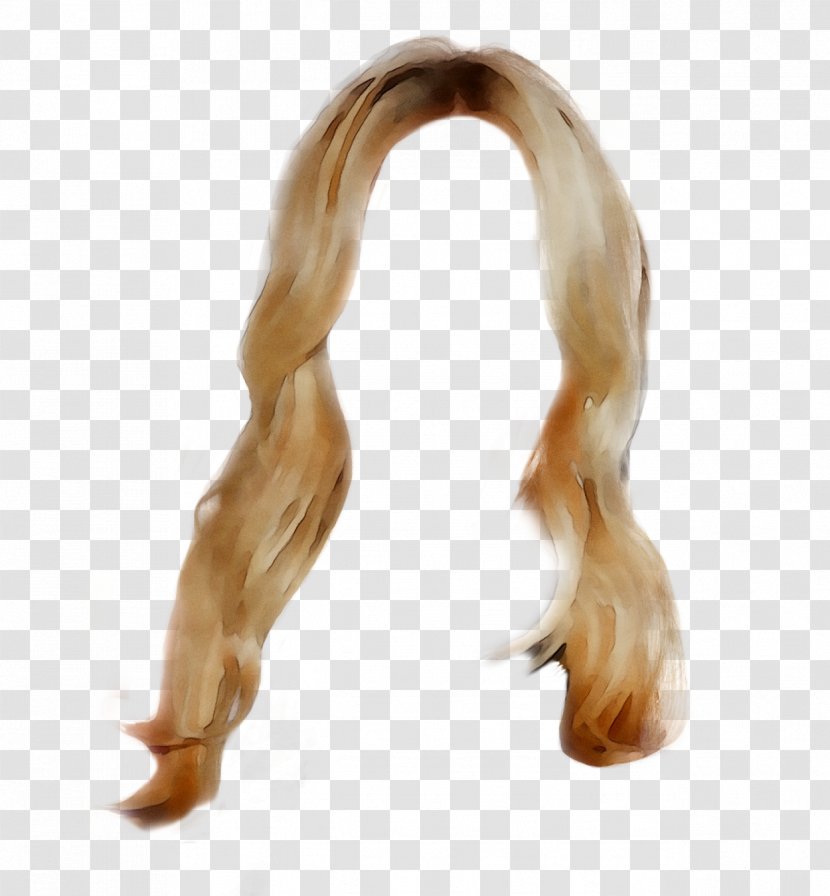 Muscle - Artificial Hair Integrations - Human Transparent PNG