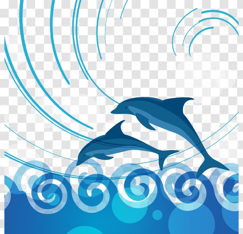 Burrunan Dolphin - Aqua - Vector Dolphins Leap Transparent PNG