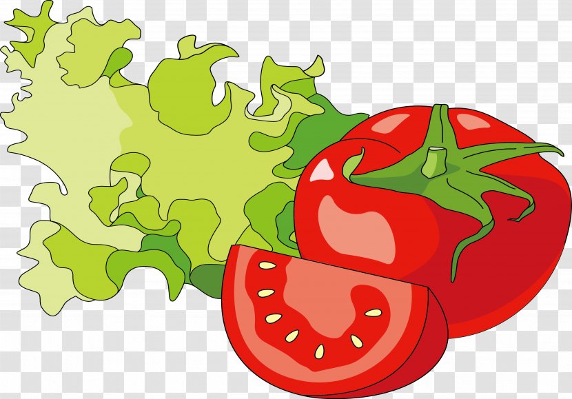 Hot Dog Hamburger Tomato Illustration - Cartoon - Vegetable Vector Material Transparent PNG