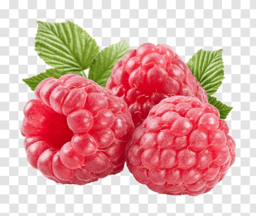 Raspberry Muffin Clip Art - Stock Photography Transparent PNG