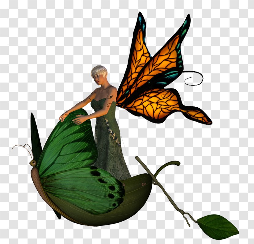 Nymphalidae Clip Art - Butterfly - Plant Transparent PNG