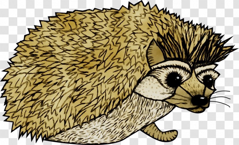 Domesticated Hedgehog European Porcupine Dog - Snout Transparent PNG