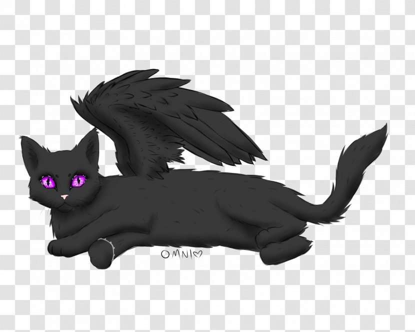 Cat Kitten Whiskers Mammal Carnivora - Wing - Black Transparent PNG