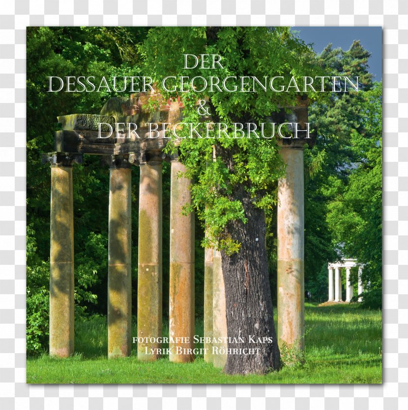 Dessau-Wörlitz Garden Realm Fantasy Factory Bauhaus Dessau Column Transparent PNG