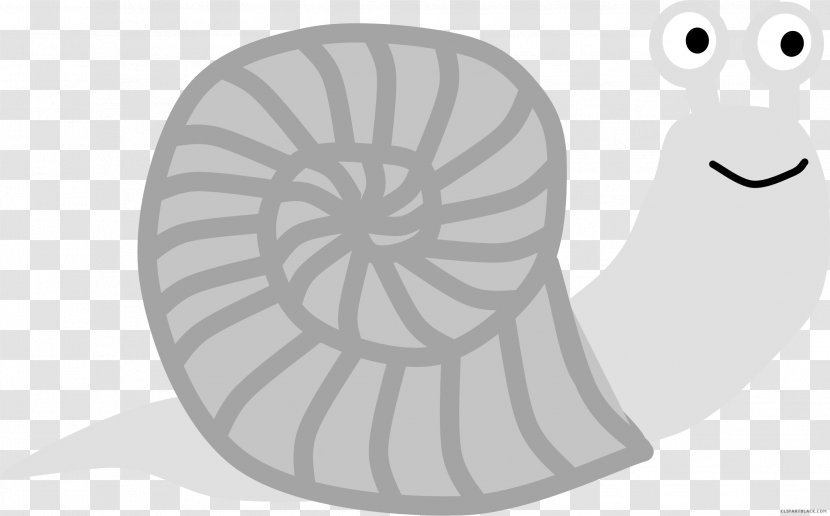 Snail Clip Art Vector Graphics Drawing Line - Flower Transparent PNG