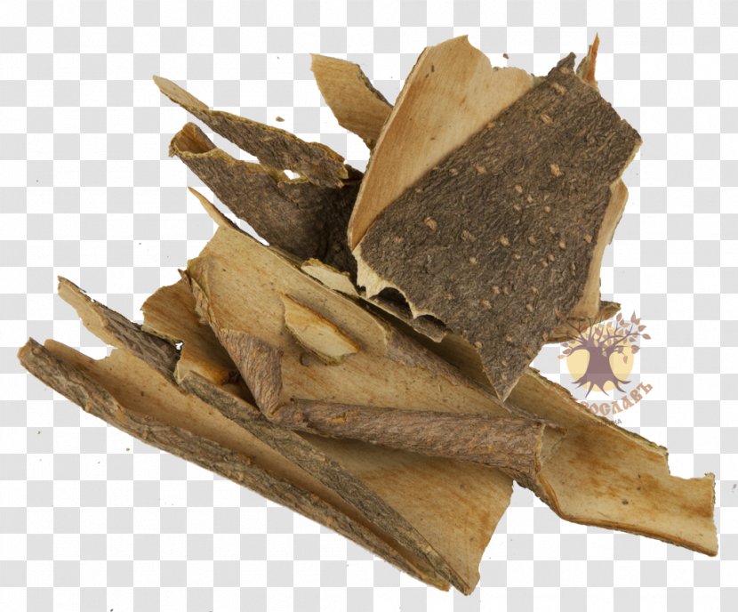 Guelder-rose Bark Herb Traditional Medicine Decoction - Viburnum - Kora Transparent PNG