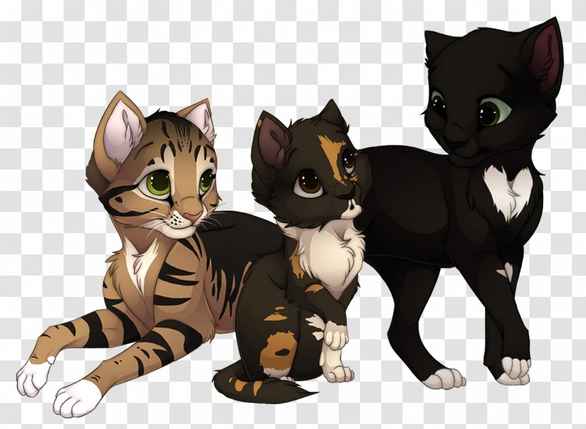 Cat Warriors Kitten Ravenpaw Firestar - Small To Medium Sized Cats Transparent PNG