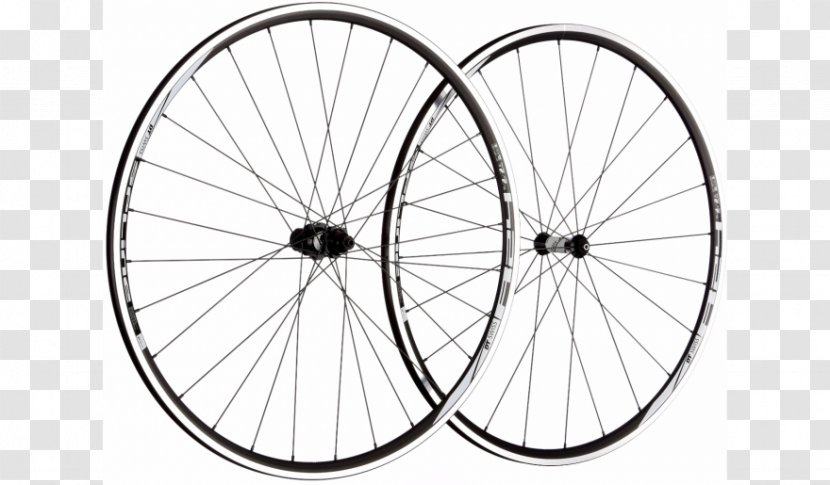 Bicycle Wheels Spoke DT Swiss Road - Tires Transparent PNG
