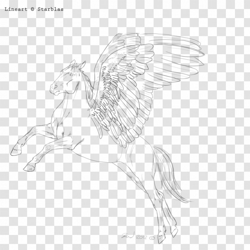 Horse Pony Fairy Drawing Sketch - Wing Transparent PNG