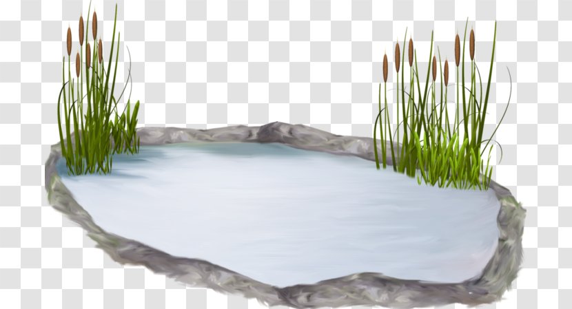 Water Resources Pond Lawn Grasses Transparent PNG