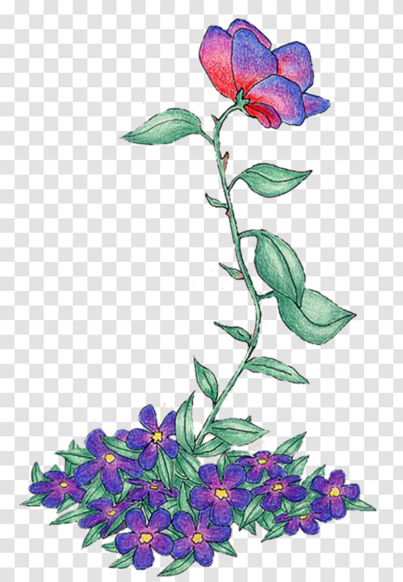 Floral Design Cut Flowers Violet Rose Family - Flower Transparent PNG