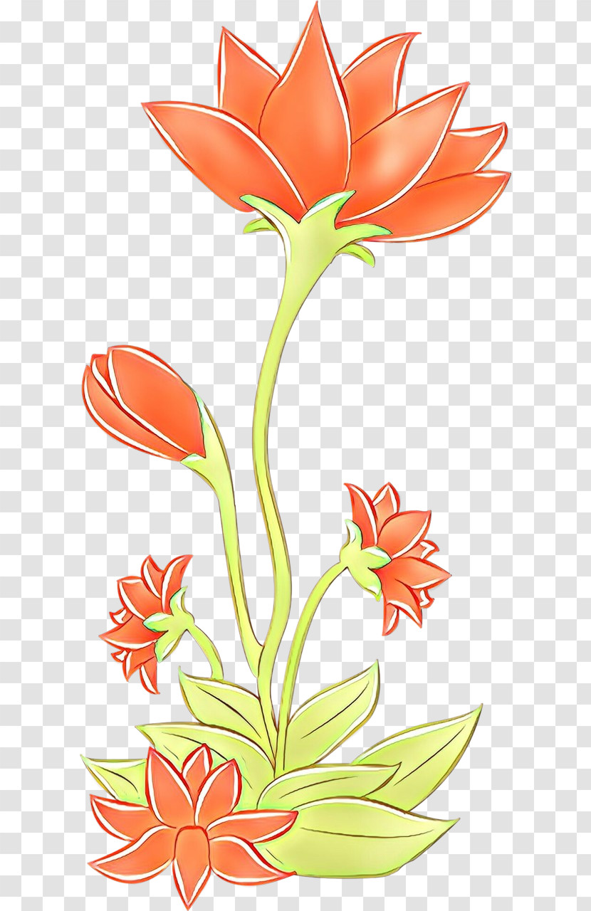 Orange Transparent PNG