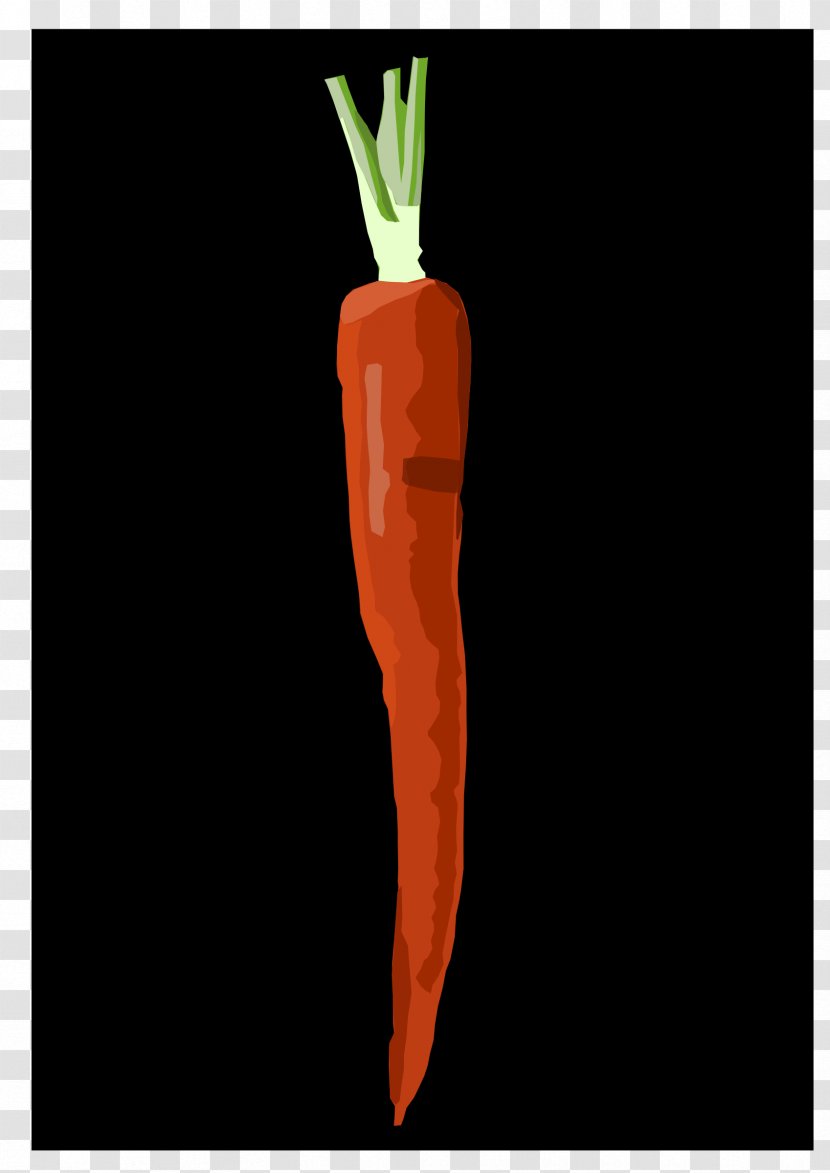 Carrot Download Clip Art - Symbol Transparent PNG
