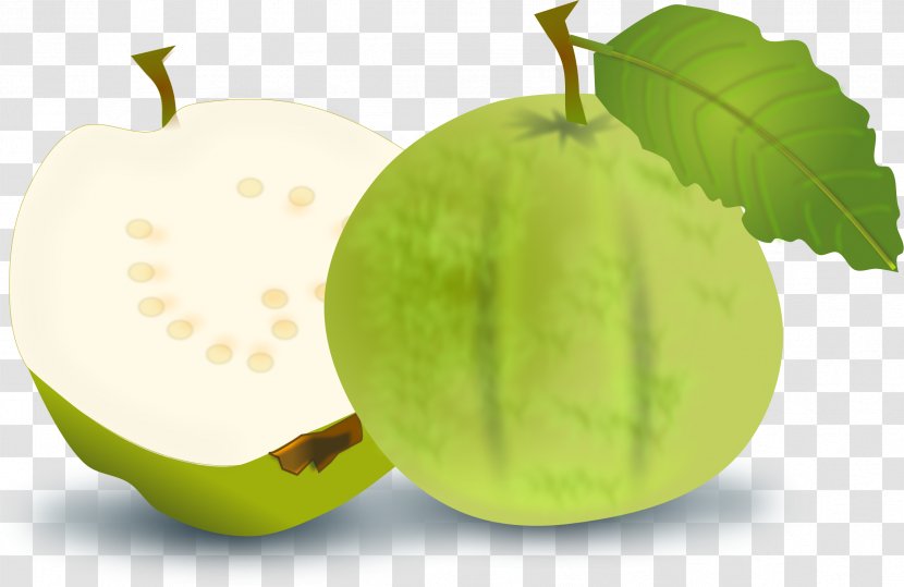 Vegetarian Cuisine Juice Common Guava Clip Art Transparent PNG