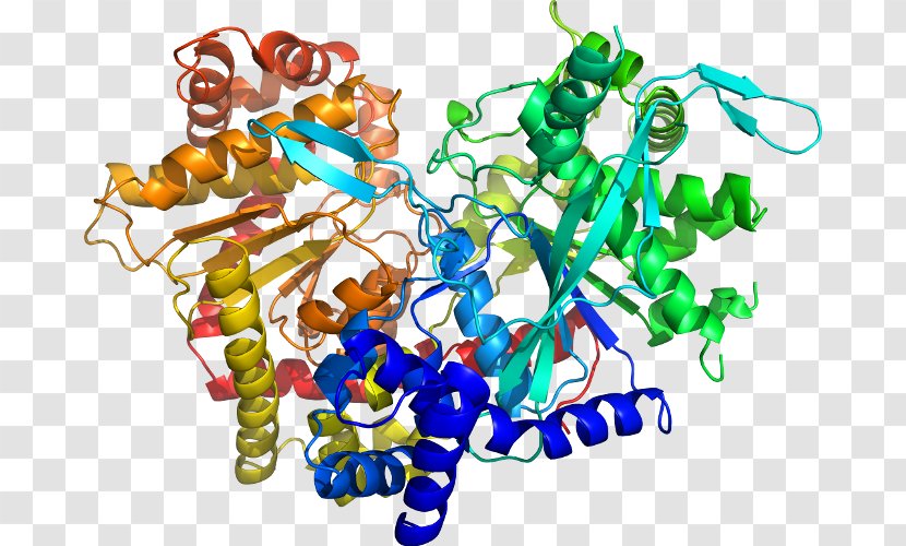 Ligand Docking Organism Thermodynamic Free Energy Clip Art - Protein - Glycogen Phosphorylase Transparent PNG
