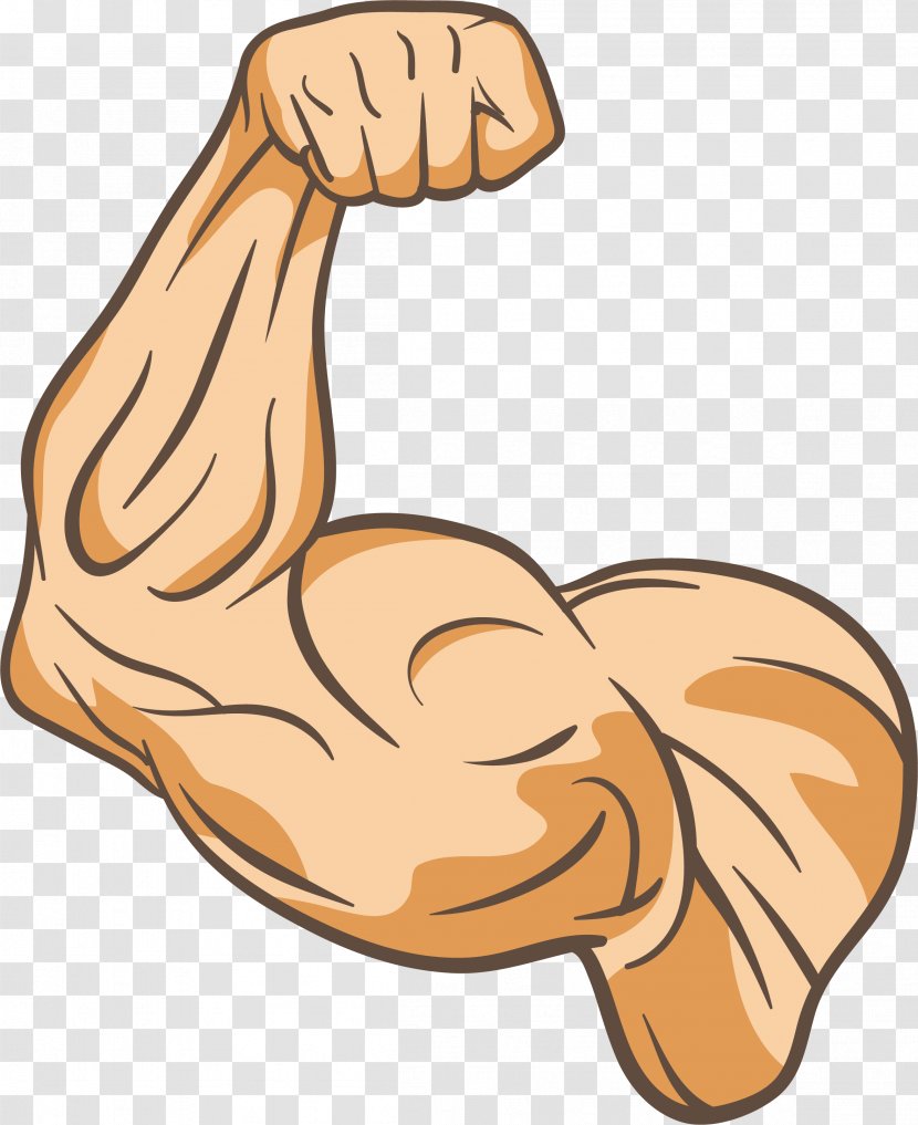 Muscle Physical Fitness Thumb Clip Art - Silhouette - The Trainer's Arm Transparent PNG