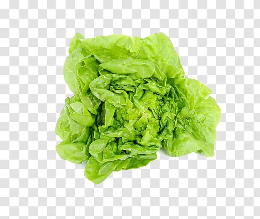 Romaine Lettuce Cream Vegetable Milk European Cuisine - Free Cabbage Pull Material Transparent PNG